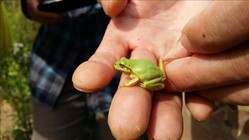 thumbimg