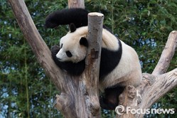 thumbimg